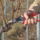 Promotional Kit: Felco 8 Pruning Shears + F-TECH Blade